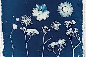 Let’s Create Cyanotypes, 1 July | Event in Detroit | AllEvents