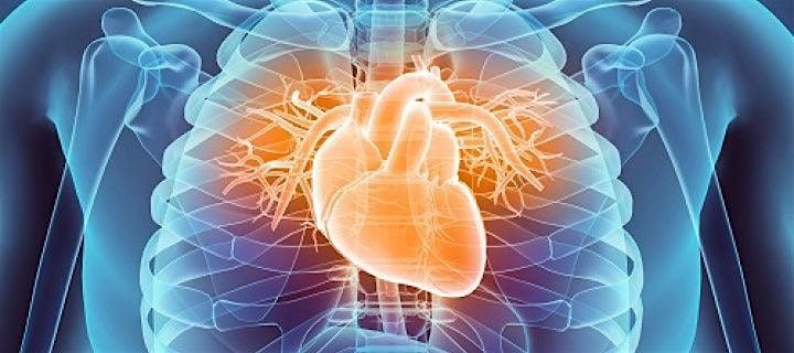 Looking Inside the Heart, 6 August | Event in Greer | AllEvents