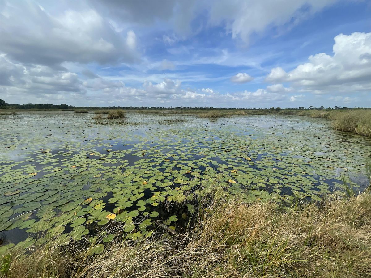 Explore Natural Martin Spring Nature Walk | Event in Jensen Beach | AllEvents