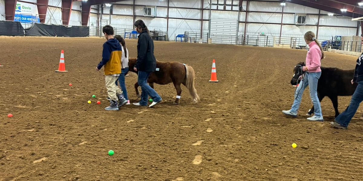 Horse Powered Reading (Ages 5-7), 30 July | Event in Kaysville | AllEvents