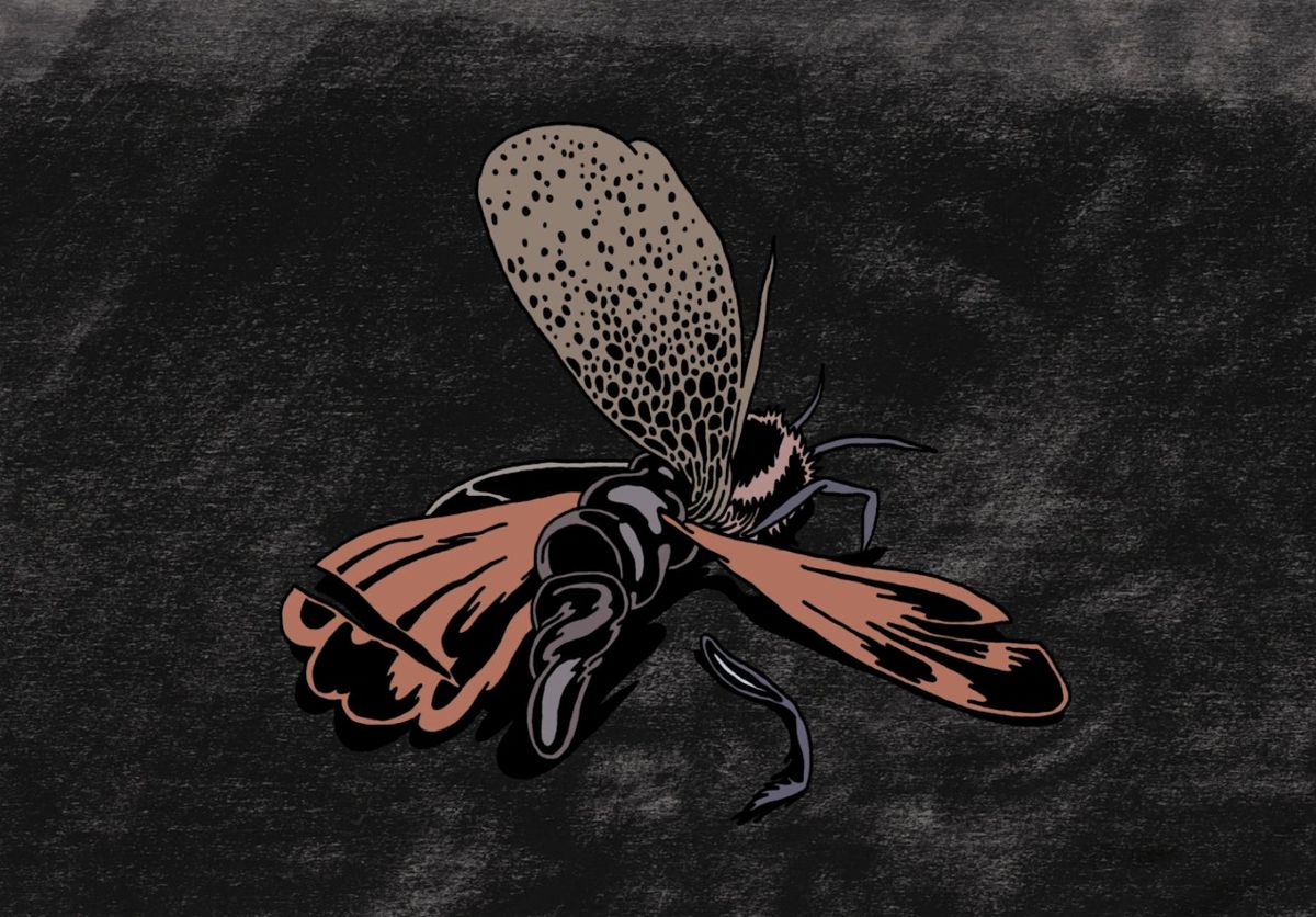 DARK CORNERS: Animated Films screening, 10 October | Event in Kingston upon Hull | AllEvents