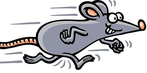 Mouse Race Event Sponsor Sales, 24 October | Event in Saint Charles | AllEvents