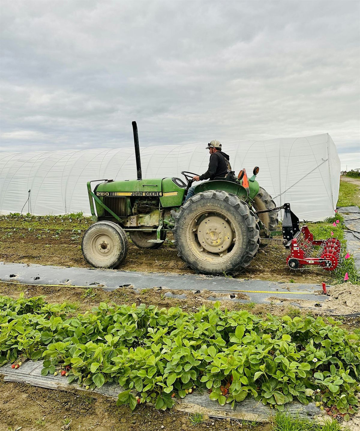 Try It Yourself: Hands-On Mechanical Cultivation Workshop, 16 July | Event in Mount Vernon | AllEvents