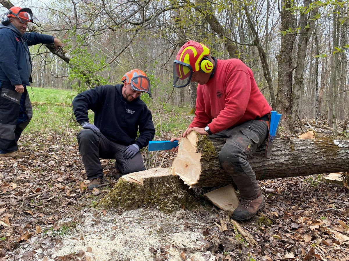 Game of Logging, Level 1, 14 July | Event in Claryville | AllEvents