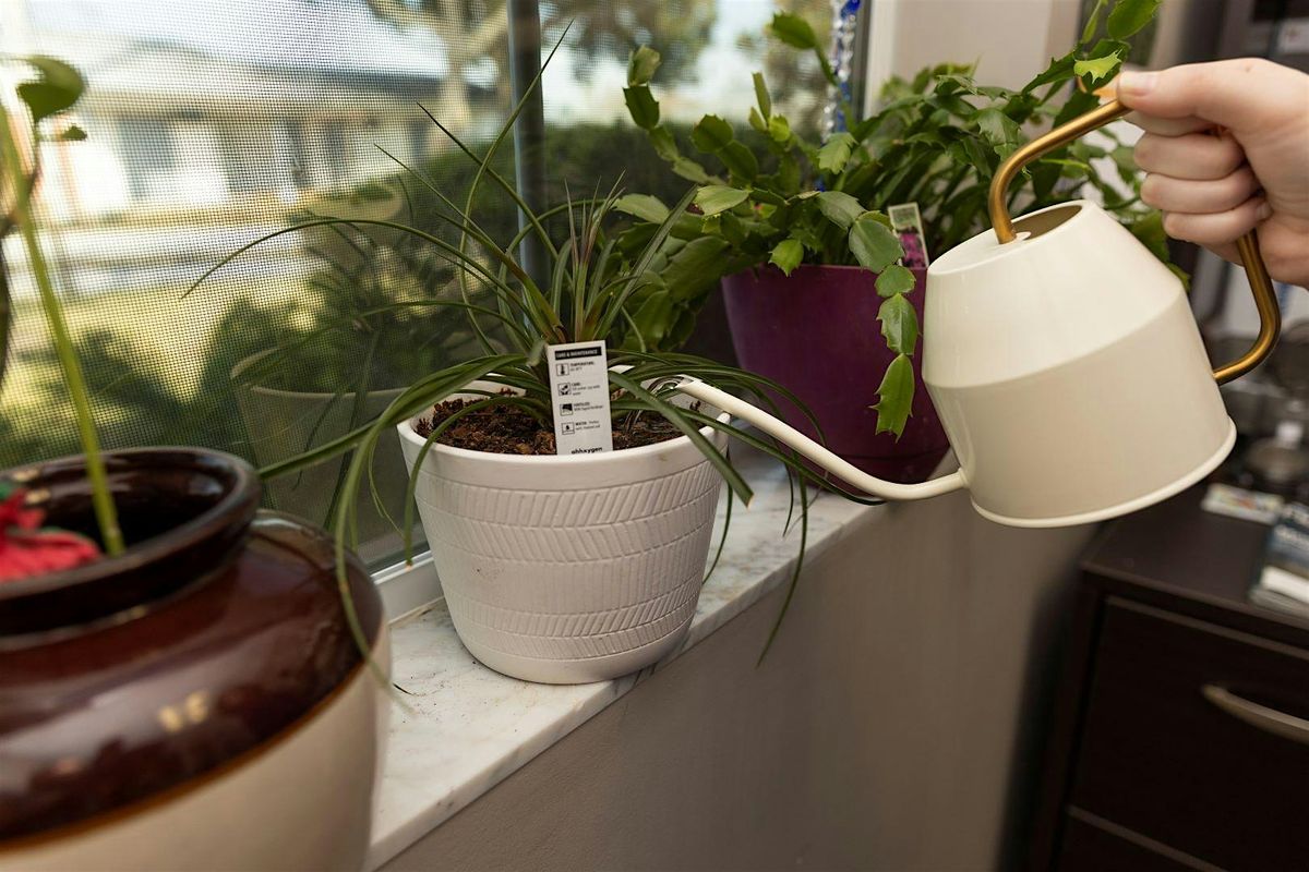11-5-2025  Pass-along Plants, 5 November | Event in Land O' Lakes | AllEvents