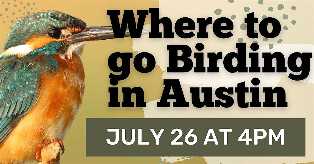 Where to go Birding in Austin (Adult Program), 26 July | Event in Austin | AllEvents