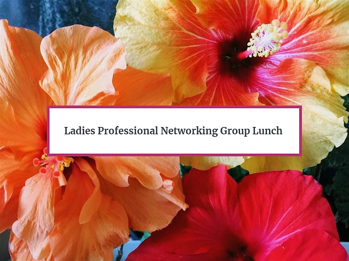 Ladies Professional Networking Group Lunch, 26 June | Event in Bonham | AllEvents
