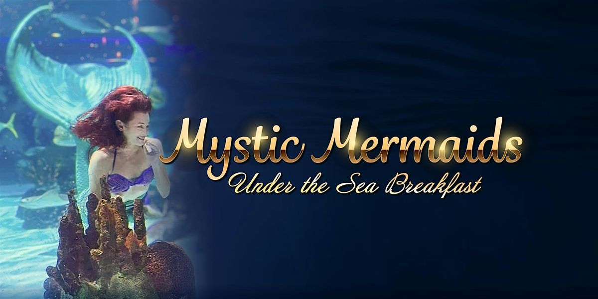 Aquarium Nashville - Mystic Mermaids Under the Sea Breakfast, 15 November | Event in Nashville | AllEvents