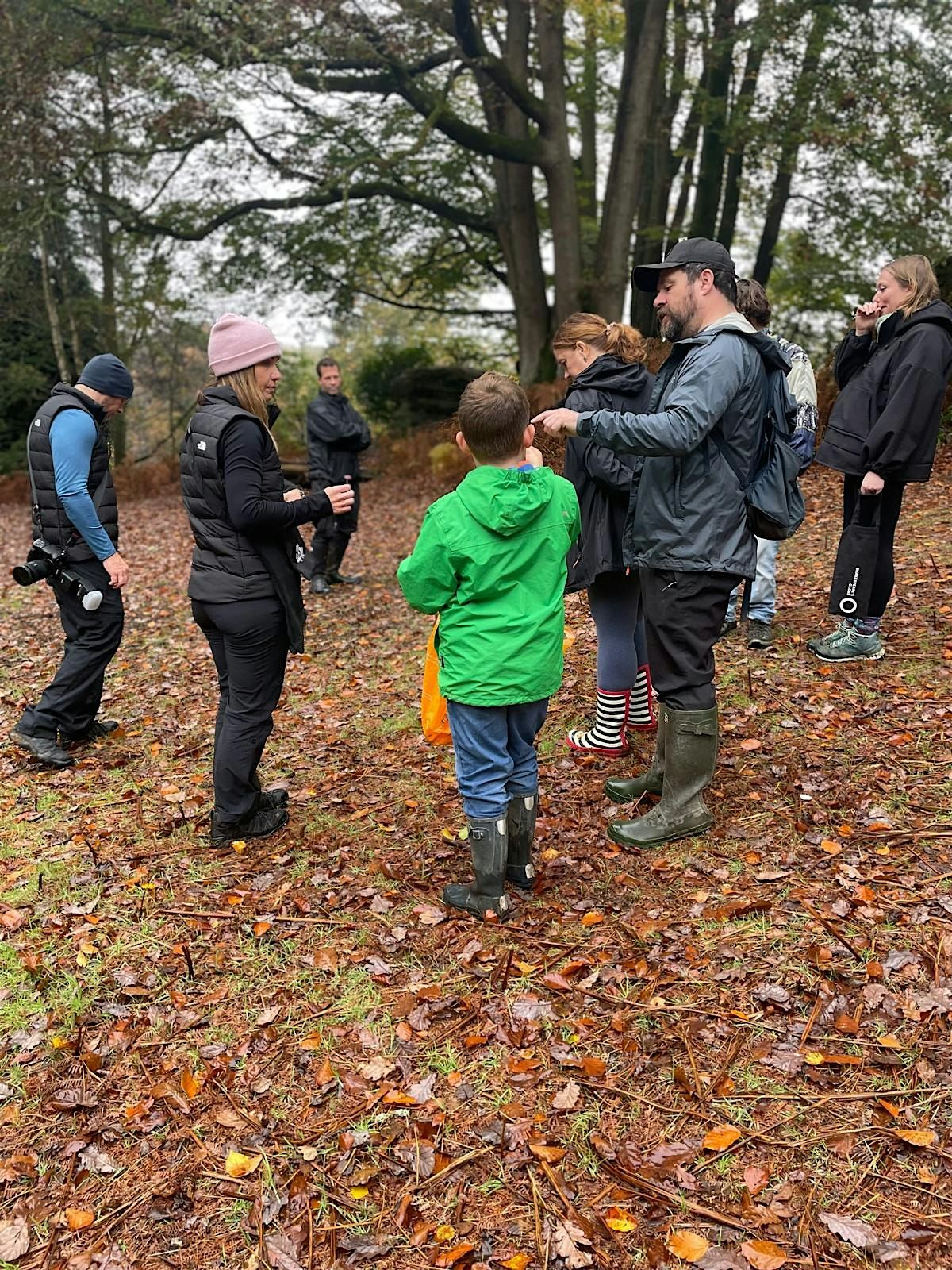 All Day Summer Foraging Course, 21 June | Event in Crawley | AllEvents