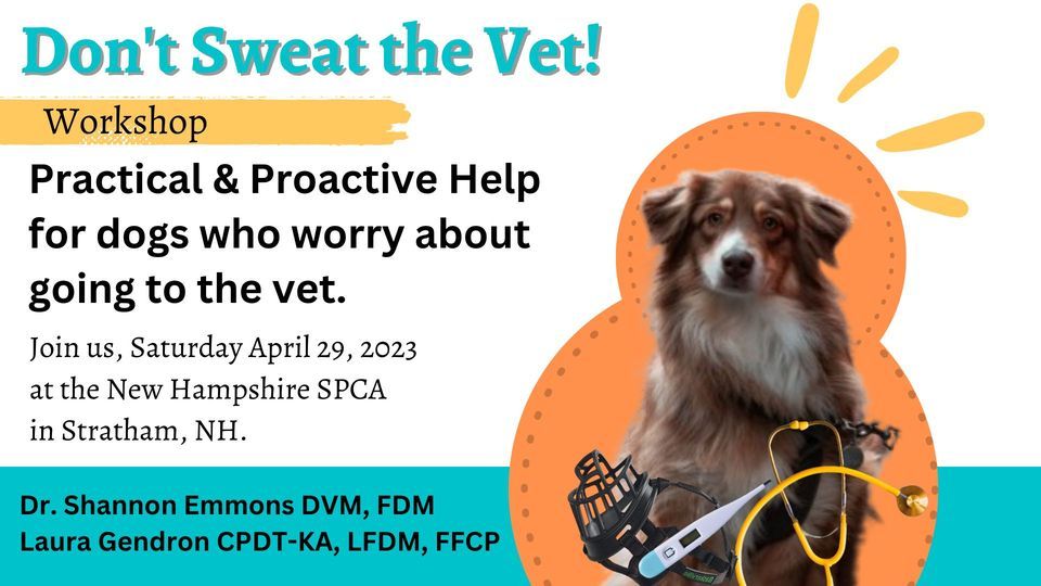 Dont Sweat the Vet! Practical and Proactive Help for dogs who worry
