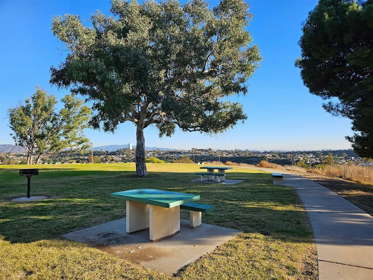 Tree Treks at Kate Sessions Park, 9 August | Event in San Diego | AllEvents