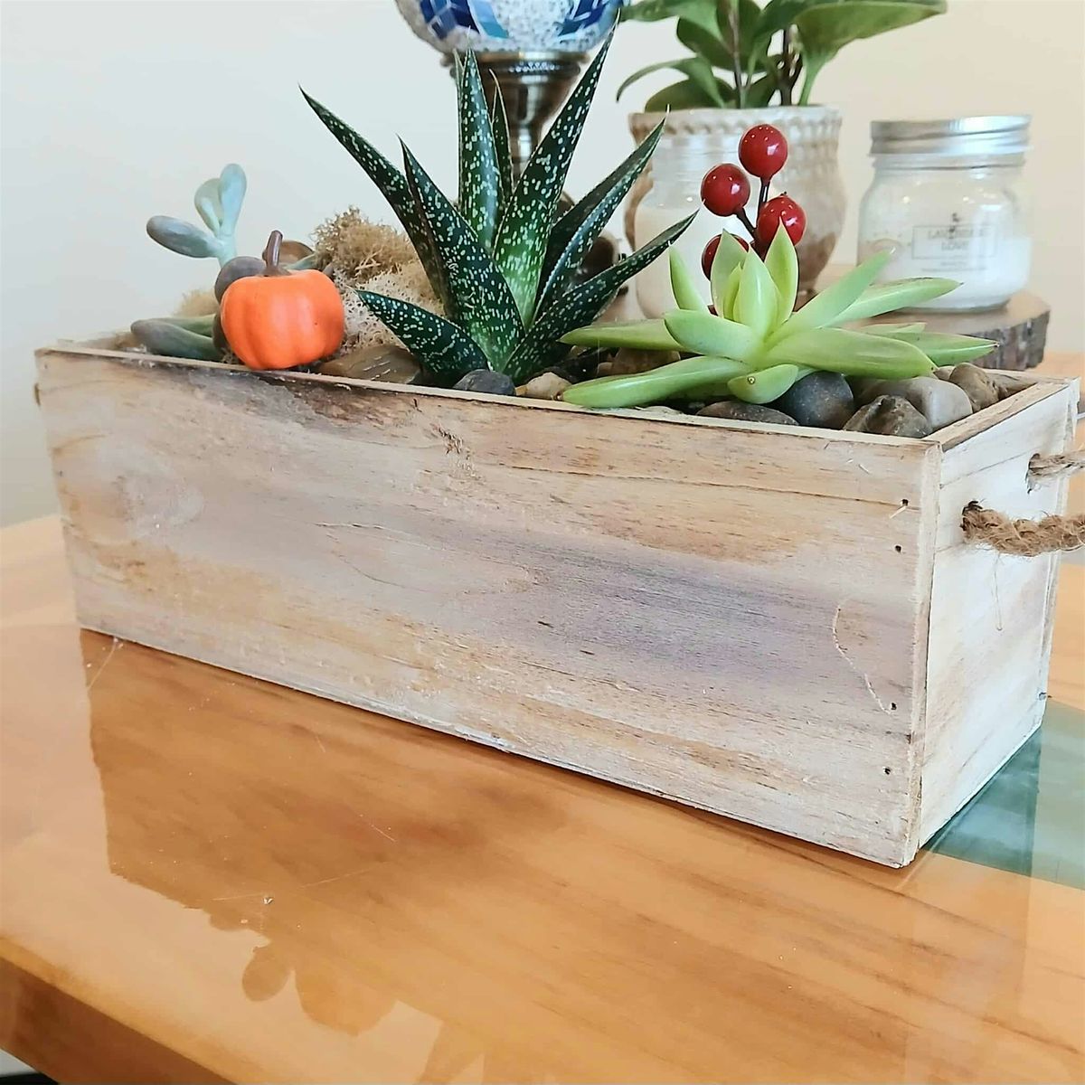 Fall Terrarium Workshop | Event in Guelph | AllEvents