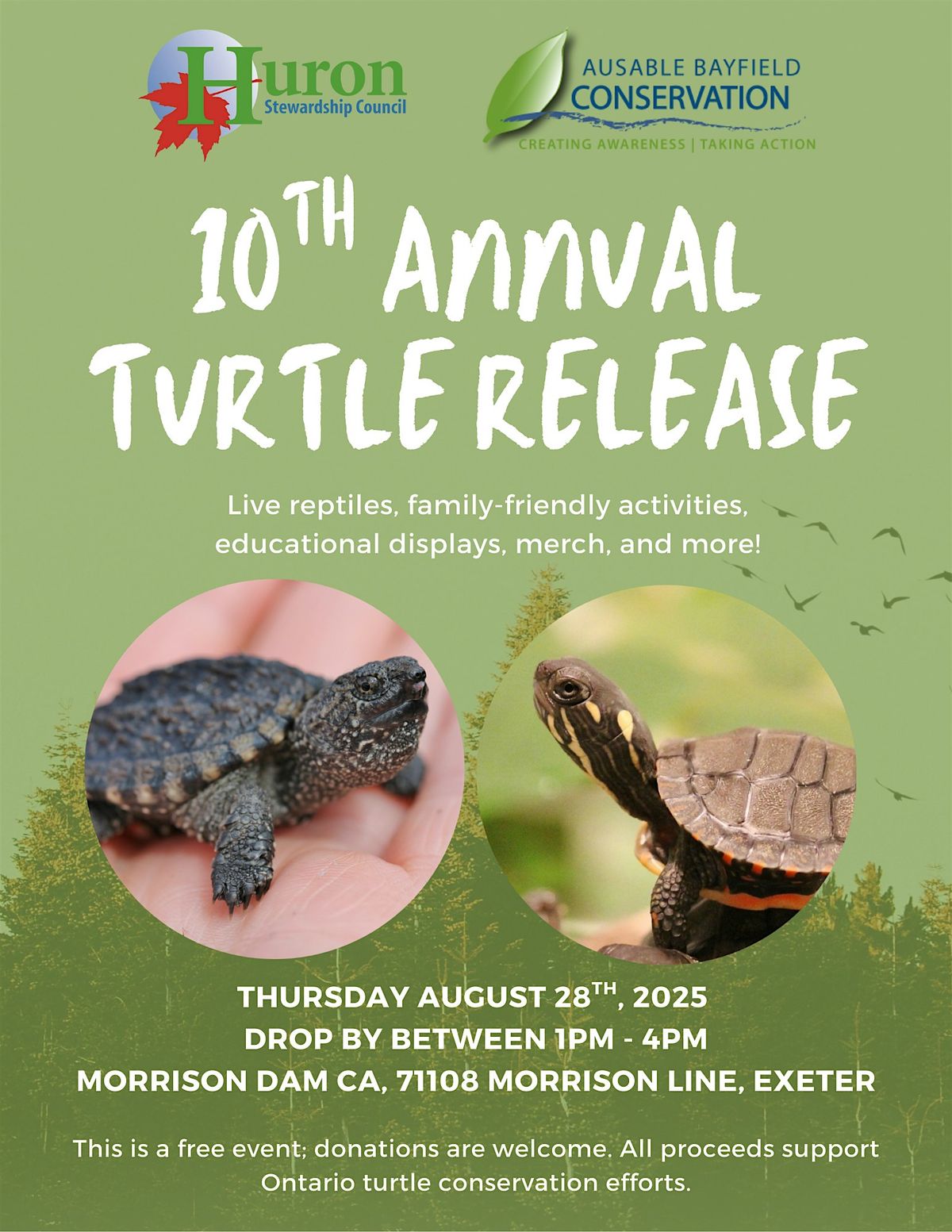 10th Annual Turtle Release, 28 August | Event in Exeter | AllEvents