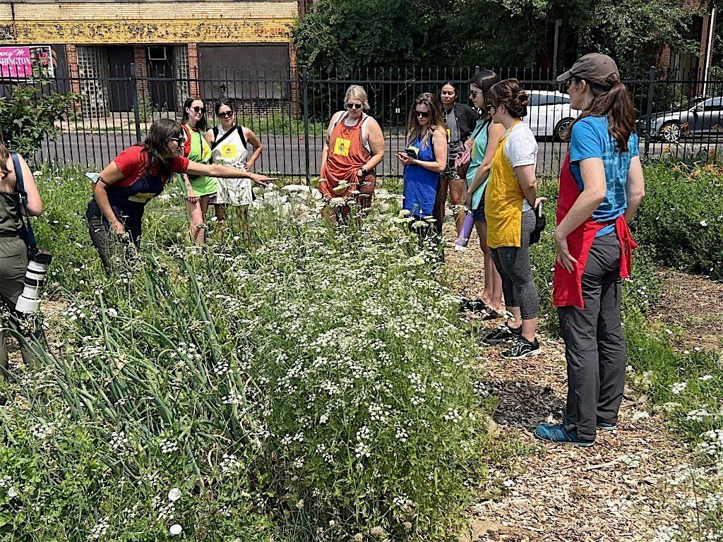 Decolonize the Garden: From Seeds to Bees, 31 May | Event in St. Louis | AllEvents