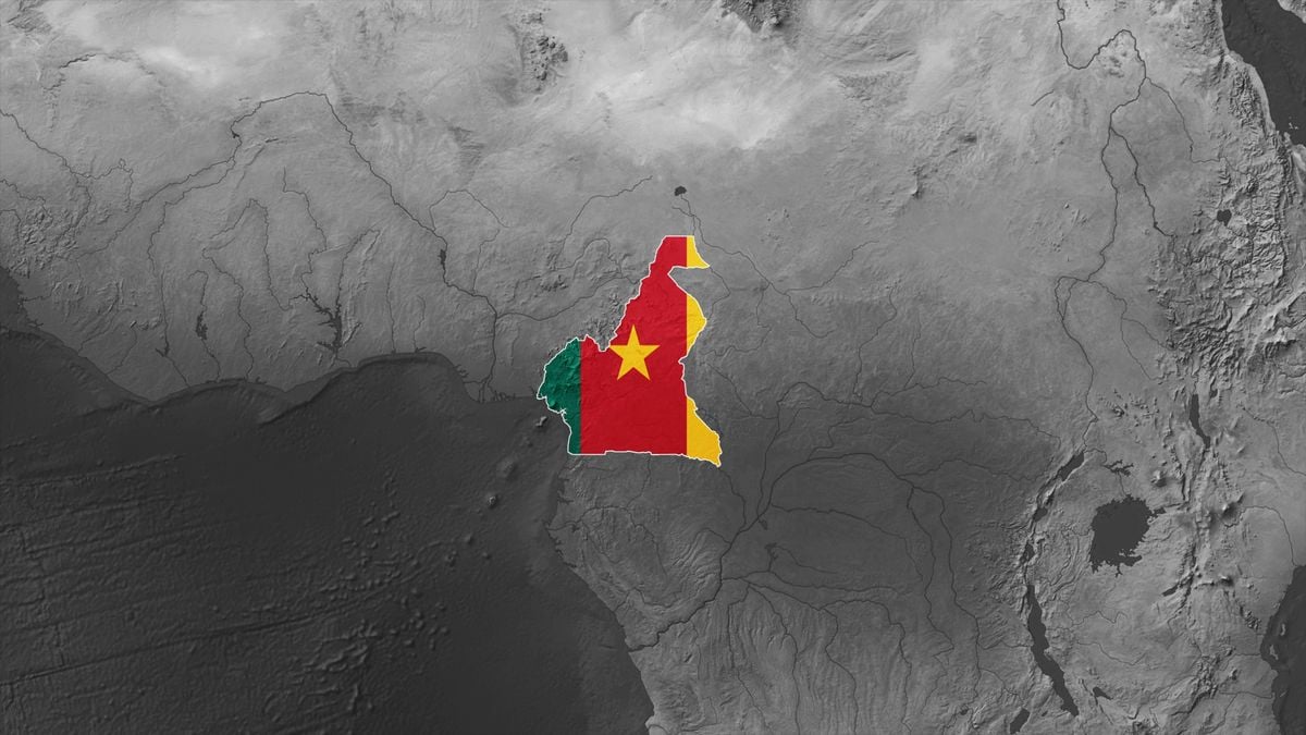 Saturday Night  at the New Embassy of Cameroon, 7 June | Event in Washington | AllEvents