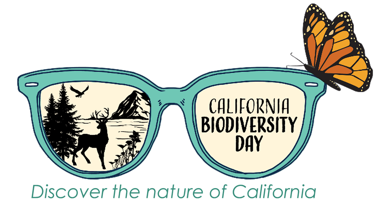 Beginner's Nature Journaling in the Park, 7 September | Event in Malibu | AllEvents