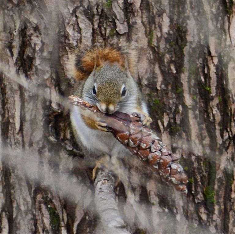 Equinox: How Plants and Animals Prepare for Winter, 21 September | Event in Lee | AllEvents