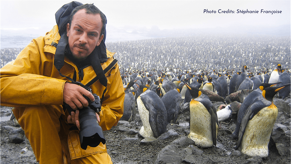 UNA VITA SELVAGGIA, 10 December | Event in Torino | AllEvents