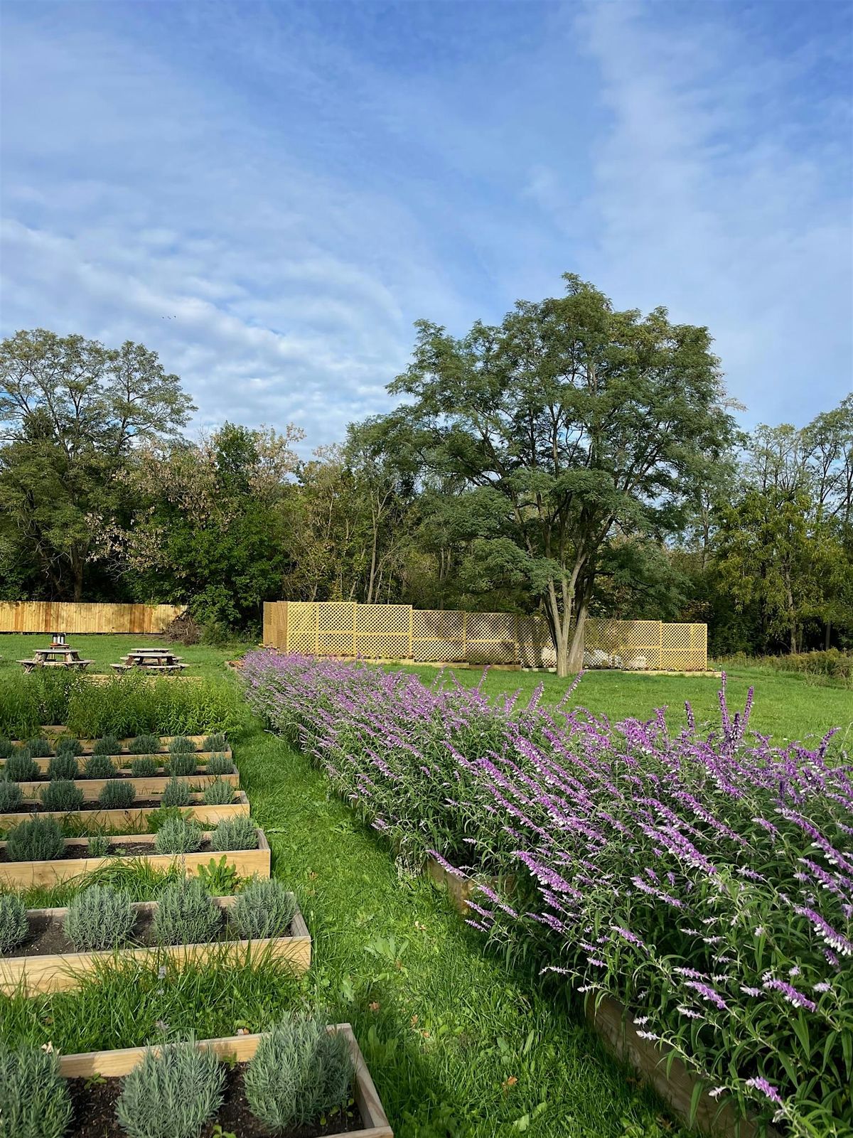 Poses and Petals, 7 June | Event in Barrington | AllEvents