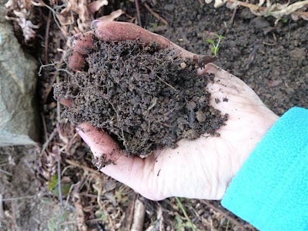 Learn to Grow: Composting, 13 August | Event in Waynesville | AllEvents