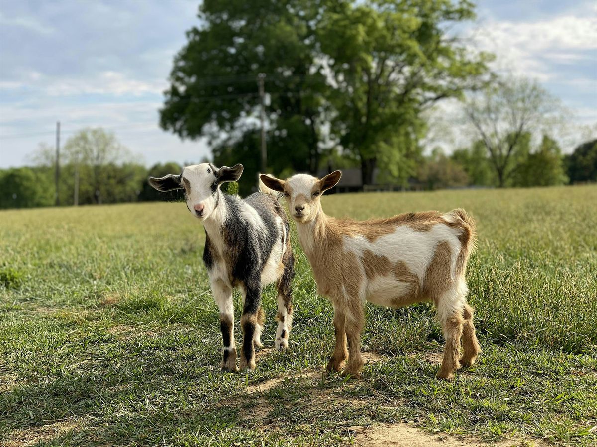 Goat Yoga at Dirt & Grit Farm, 24 May | Event in Woodruff | AllEvents