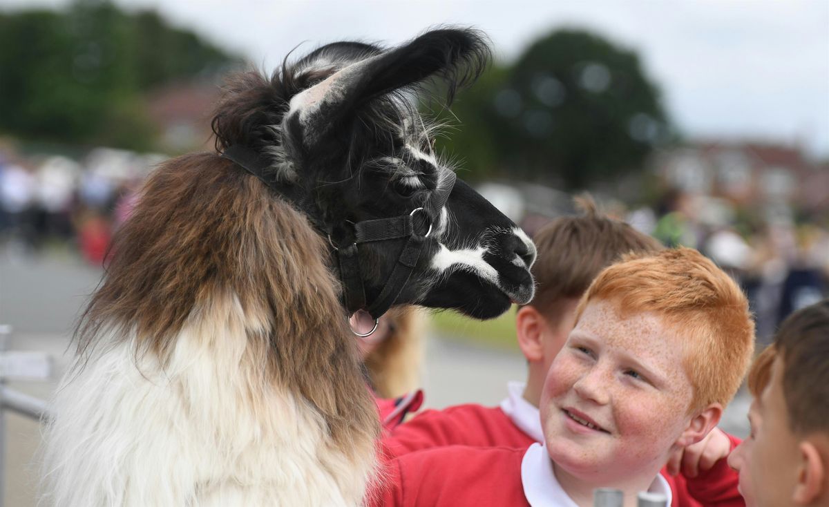 Countryside Days 2025, 4 June | Event in Harrogate | AllEvents