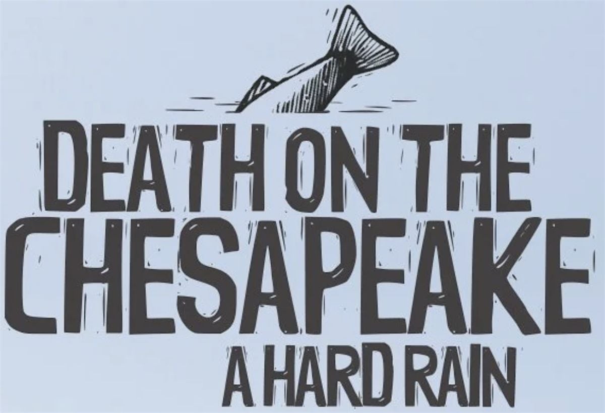 Exclusive Movie Screening -- Death On The Chesapeake: A Hard Rain, 20 August | Event in Annapolis | AllEvents