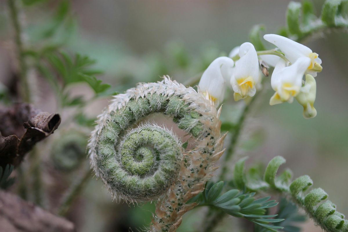 Leave No Trace Workshop, 24 June | Event in Holtwood | AllEvents