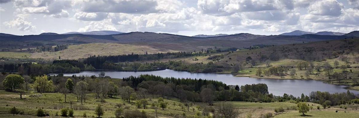 Nature Walk in Galloway – Explore Wildlife, Ecology & Land Recovery, 27 July | Event in Castle Douglas