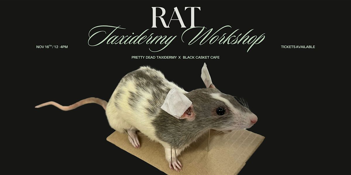 Rat Taxidermy Workshop [Pretty Dead Taxidermy x Black Casket Cafe], 16 November | Event in Abbotsford | AllEvents