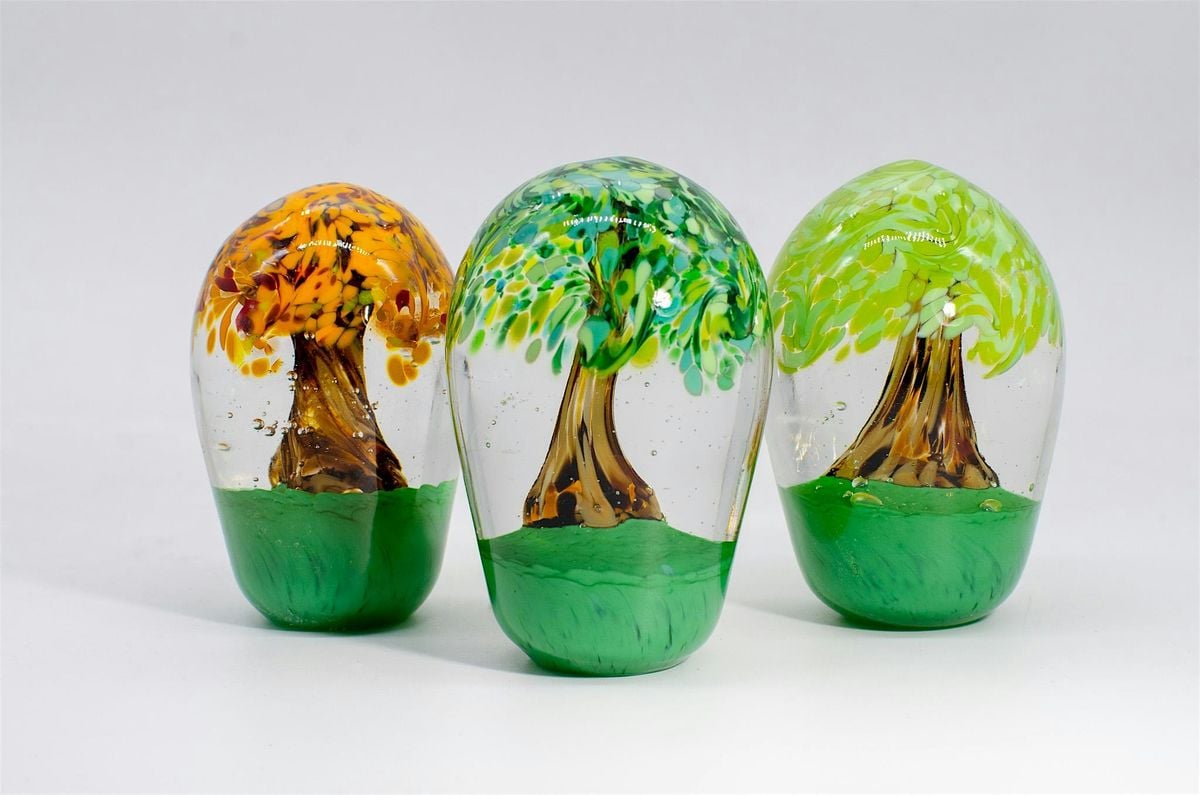 Trees and their Canopies...select your season for your tree top!, 8 July | Event in Indianapolis | AllEvents