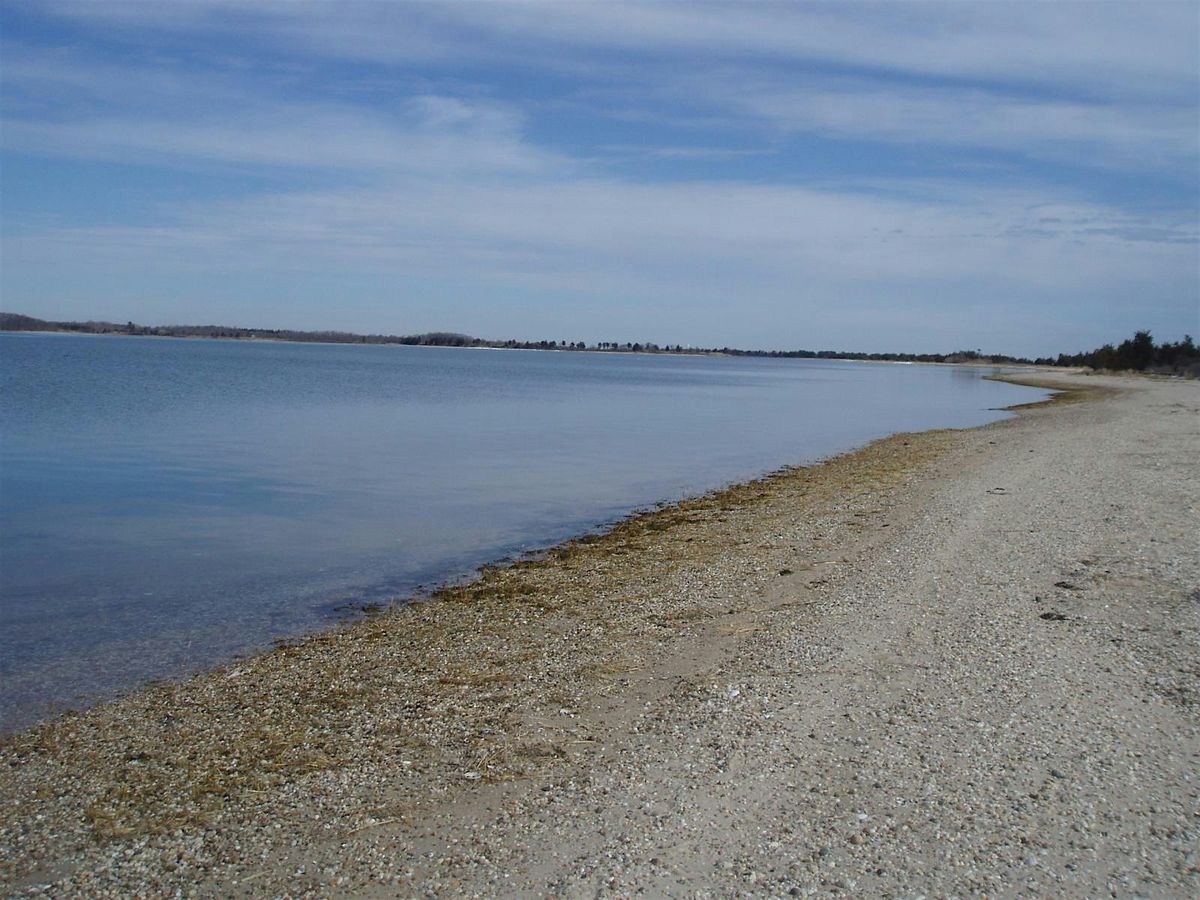 Passport through Parks: Orient Beach State Park, Family Program, $4 person, 30 November | Event in Orient