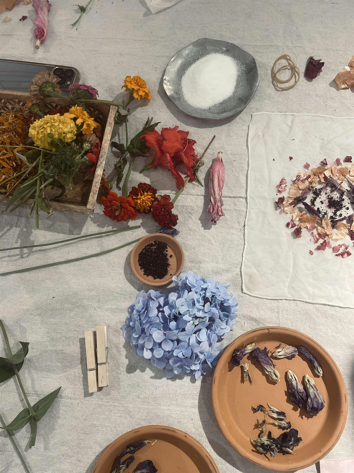 Natural Dye Workshop, 12 July | Event in Encinitas | AllEvents