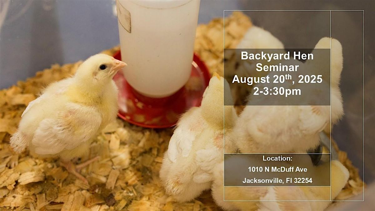 August Backyard Hen Training, 20 August | Event in Jacksonville | AllEvents