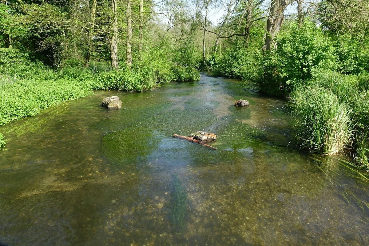 Chalk Streams and Geology Talk, 14 September | Event in HERTFORD | AllEvents