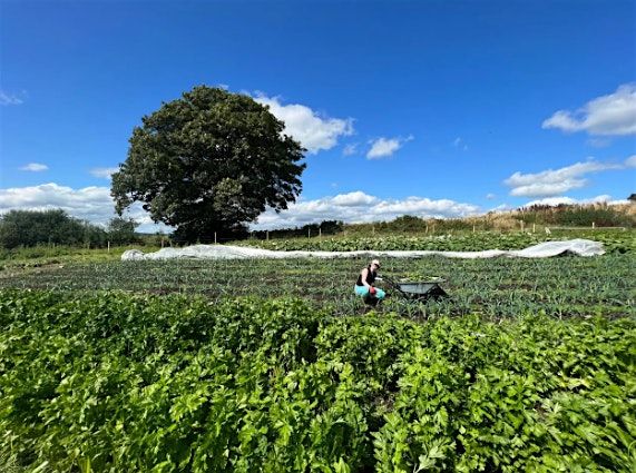 Tour Of Cork Rooftop Farm at Glenbrook with Brian McCarthy, 3 October | Event in Cork | AllEvents