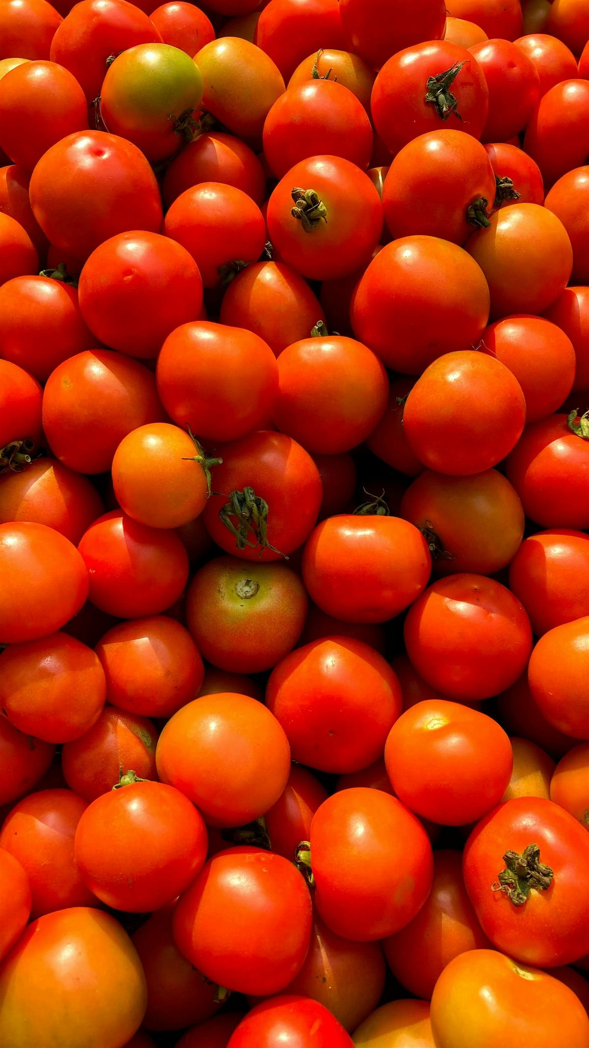 The Art of Sauces (Week 4: Tomato Sauce), 18 September | Event in Columbus | AllEvents