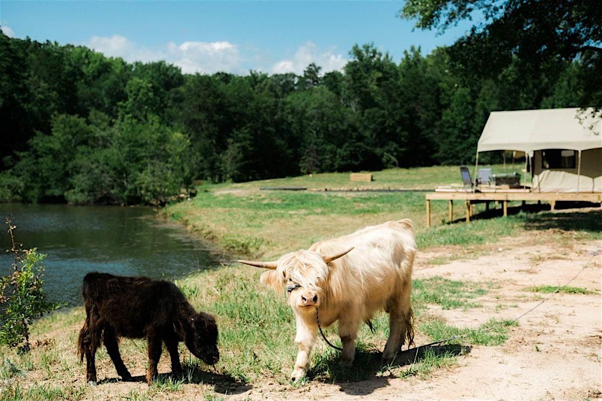 Community Glamp Out with WyldStay Greenville, 23 August | Event in Fountain Inn | AllEvents