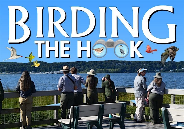 Birding the Hook, 31 August | Event in Middletown Township | AllEvents
