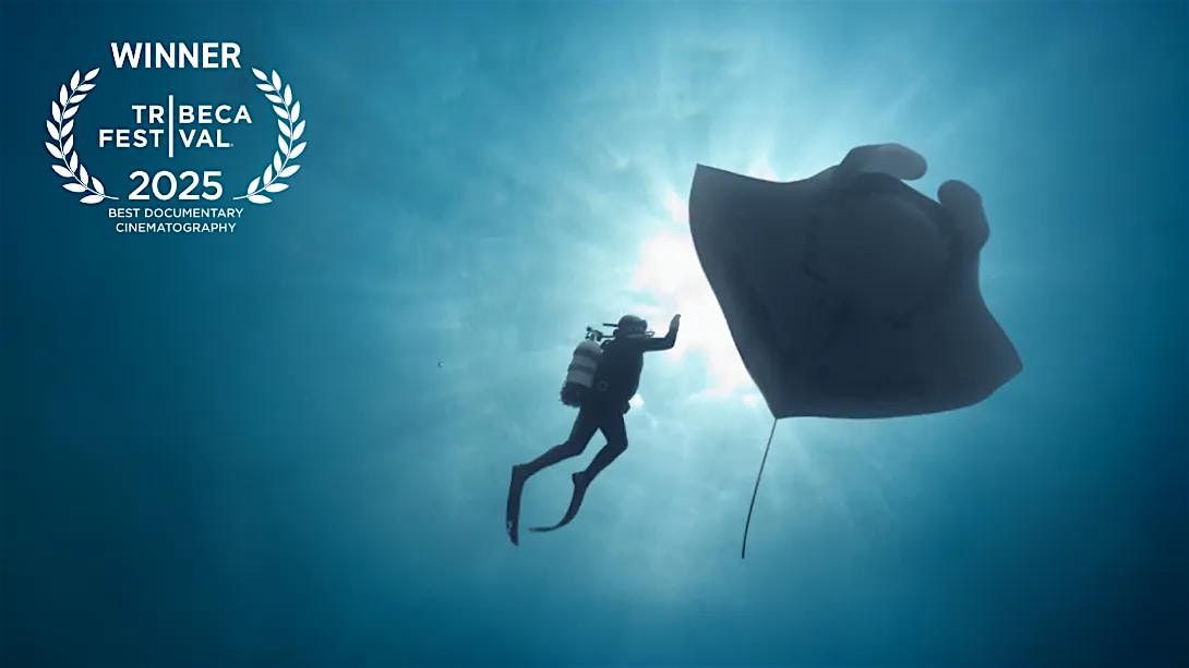 The Last Dive Screening and Director Q&A, 8 November | Event in New Bedford | AllEvents