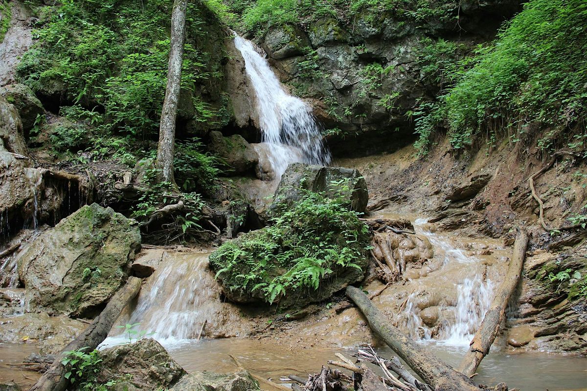 Guided Walk at Falls Ridge Nature Preserve, 25 September | Event in Elliston | AllEvents