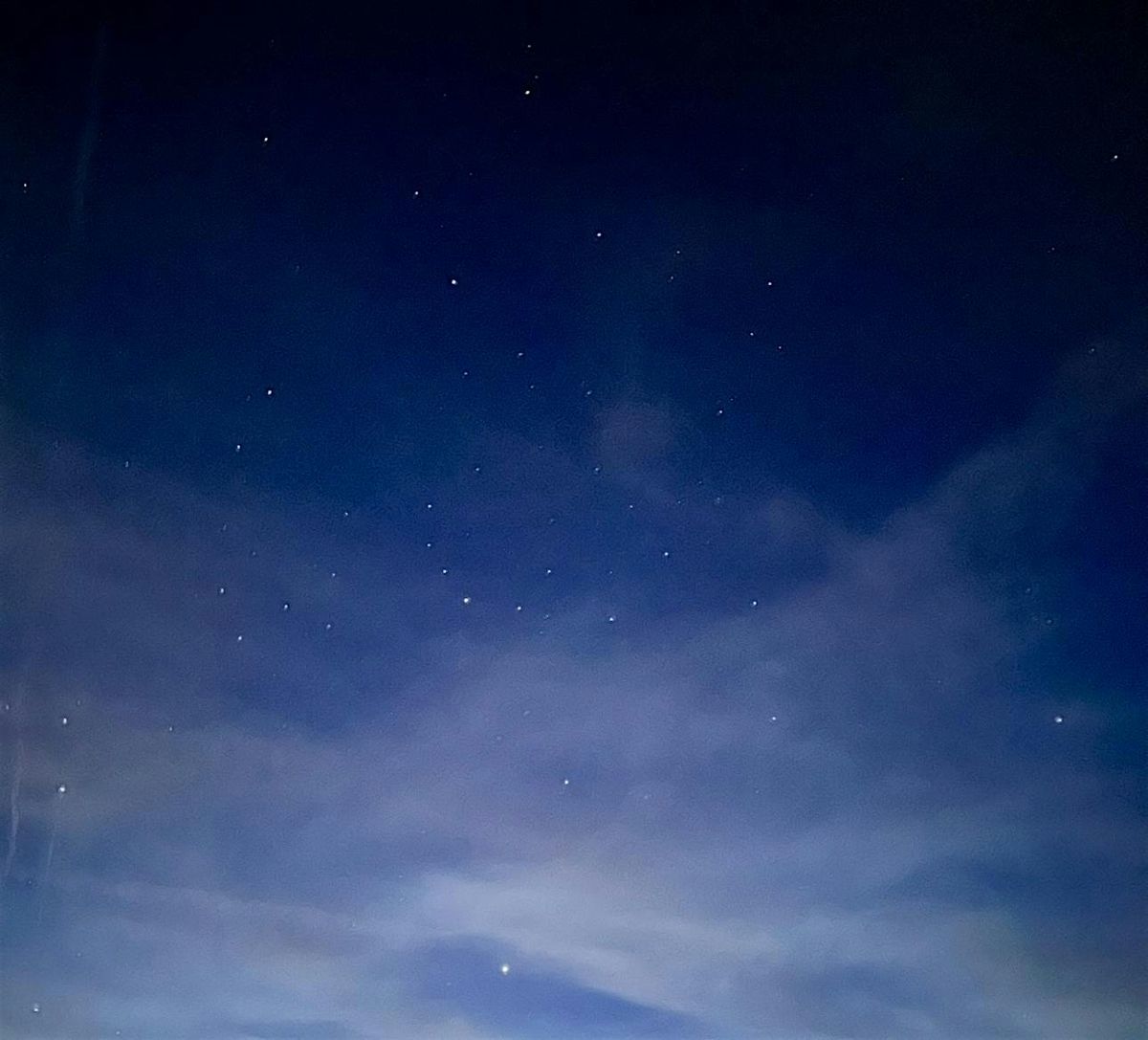 Tidewings Art Workshops at Henry Miller Library, 30 November | Event in Big Sur | AllEvents