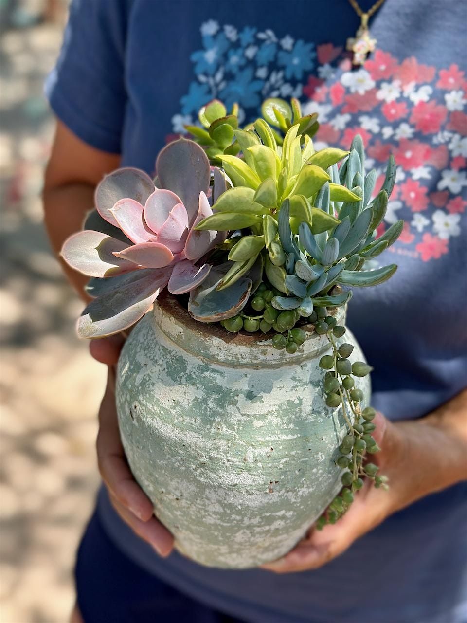 DIY: Succulent Planting | Event in Parker | AllEvents