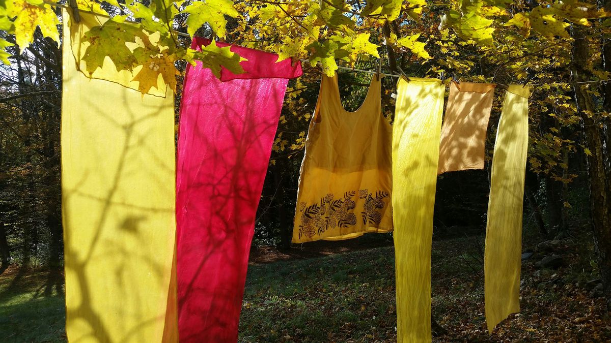 Garden-grown and Foraged Natural Dyes, 2 August | Event in Claremont | AllEvents