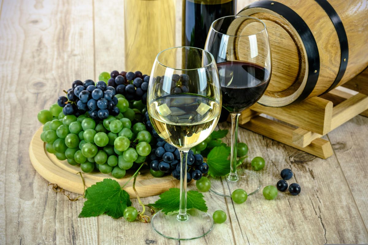 Milan Oltrepo Pavese Vineyards Grape Stomping  and Wine Tasting, 18 August | Event in Robecco Pavese | AllEvents
