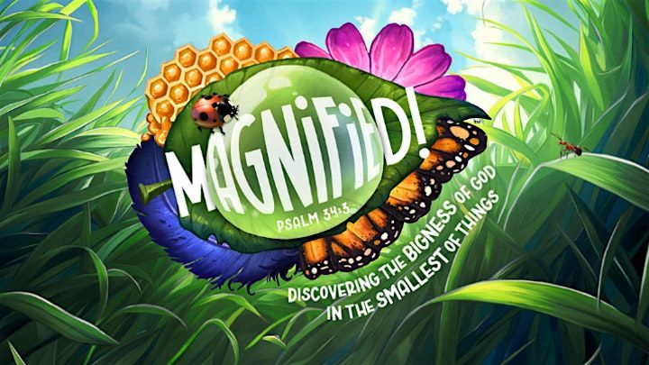 FREE Summer Camp `//  MAGNIFIED // June 25, 9am – June 27, 11:45am, 25 June | Event in Rocklin | AllEvents