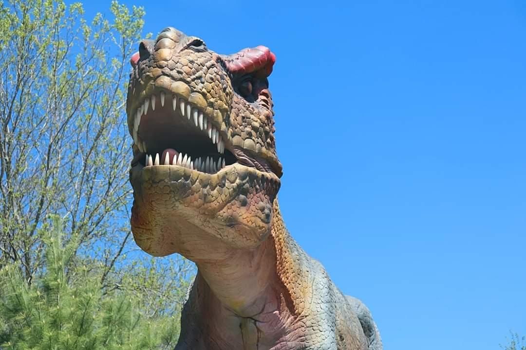 Dinosaur DriveThru Friday August 14th COVID 19 Safe, Indian River