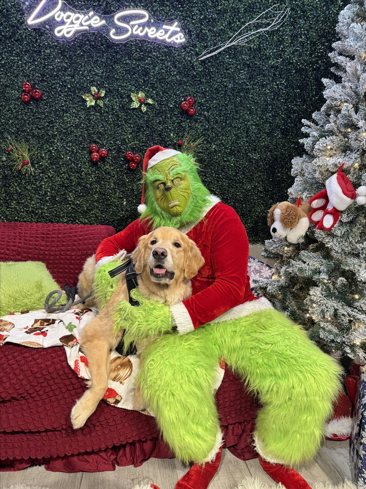 Grinch Pictures with The Golden Gathering Group, 13 December | Event in Long Branch | AllEvents