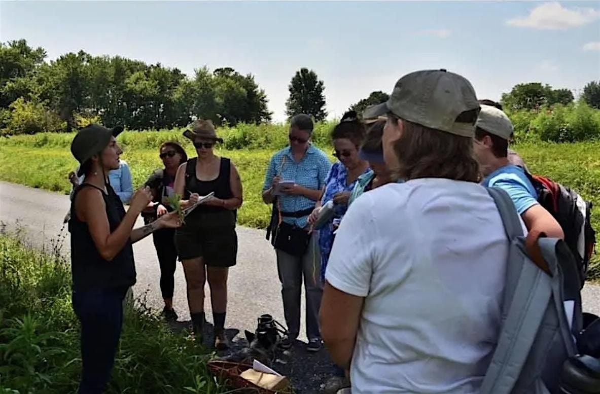 Herbal First Aid with Katelyn Jarkoweic, 9 August | Event in Jefferson | AllEvents