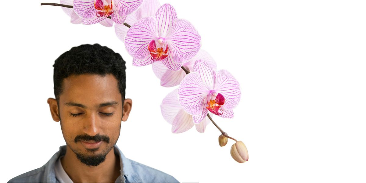 How to transform your life - a blissful journey. Drop-in meditation classes | Event in Doncaster | AllEvents